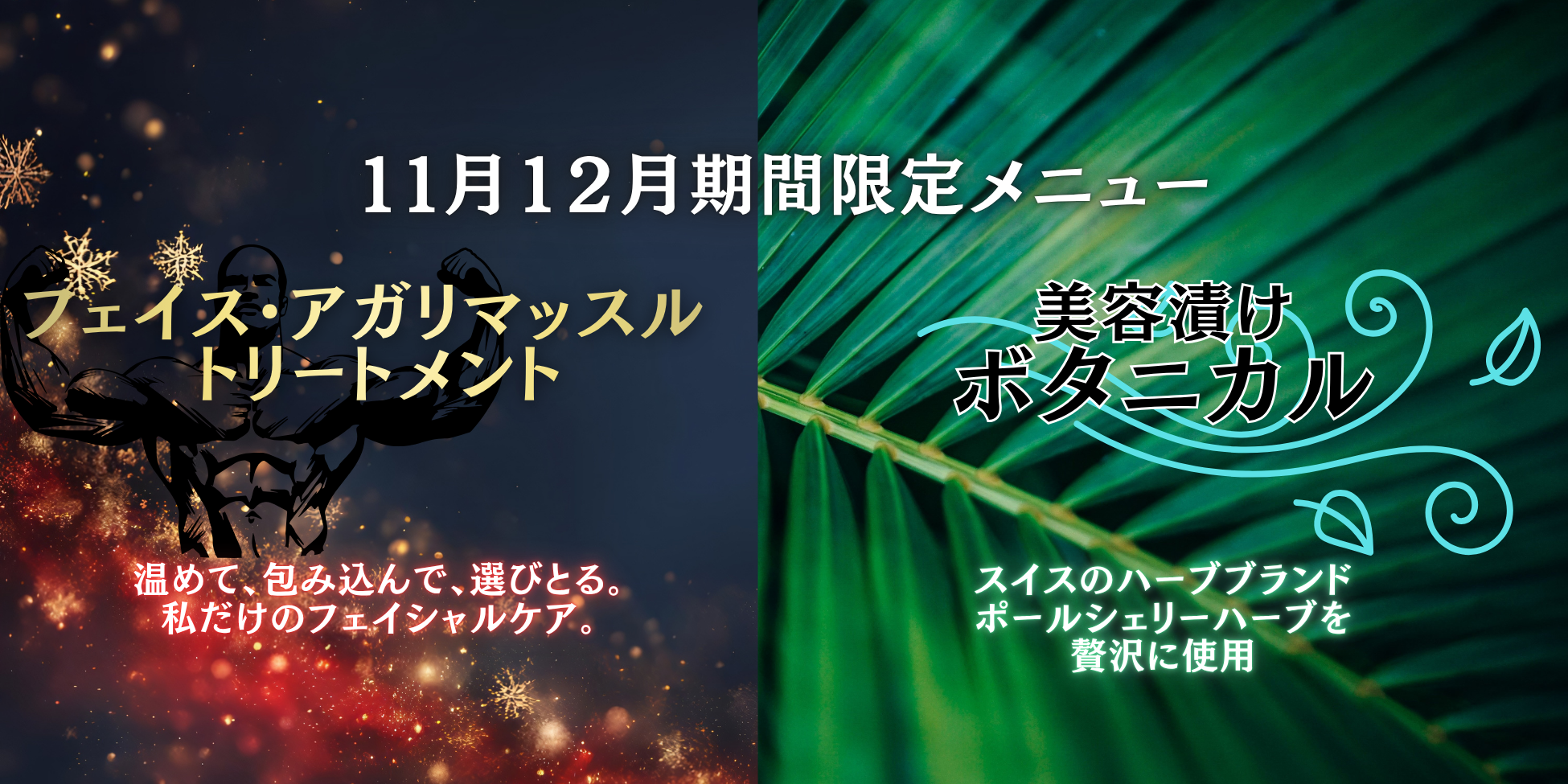 【11月12月限定メニュー】